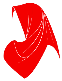 Baji Connect Logo